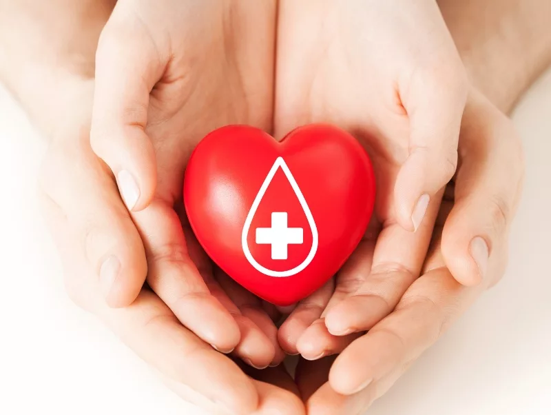 hands holding a heart with a cross and blood drop