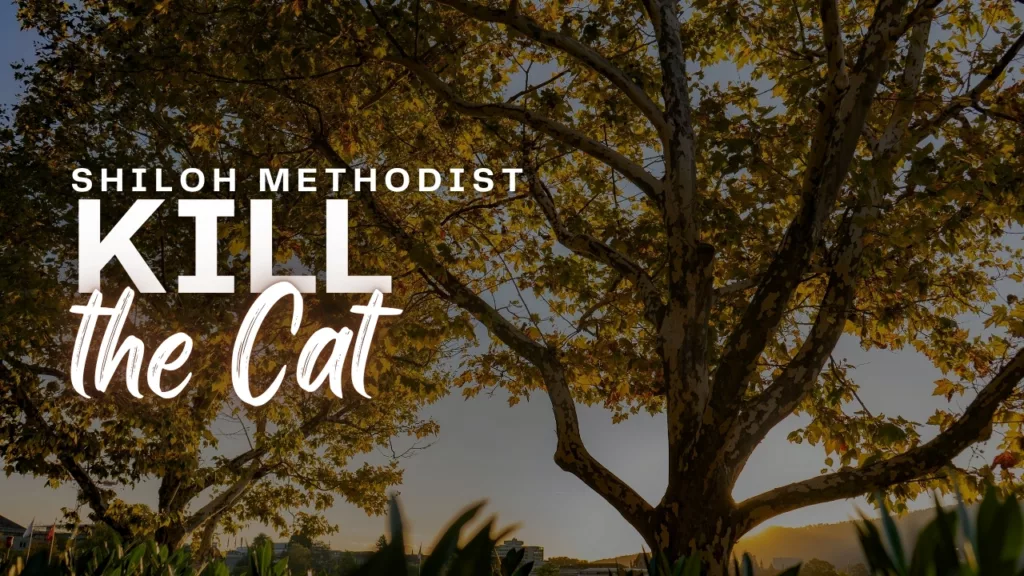 “Kill the Cat” sermon from Shiloh Methodist Church
